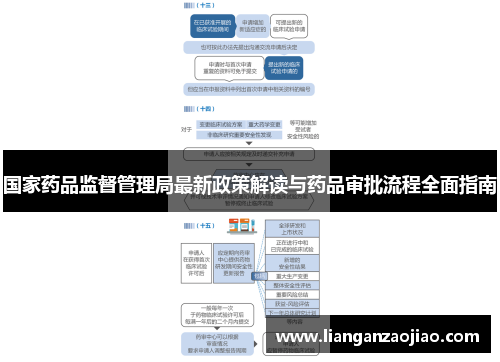 国家药品监督管理局最新政策解读与药品审批流程全面指南